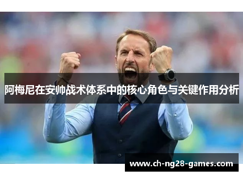 阿梅尼在安帅战术体系中的核心角色与关键作用分析